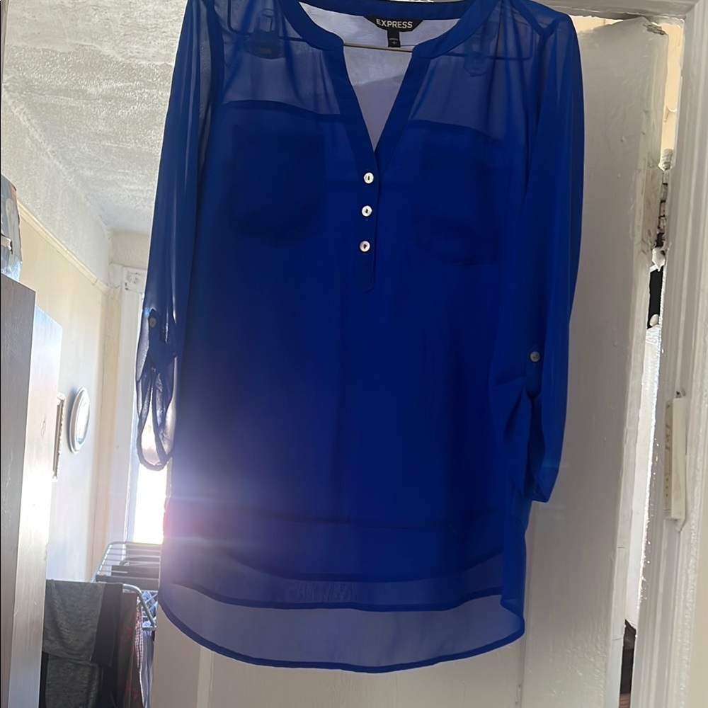 Express Women's Blue Sheer Top